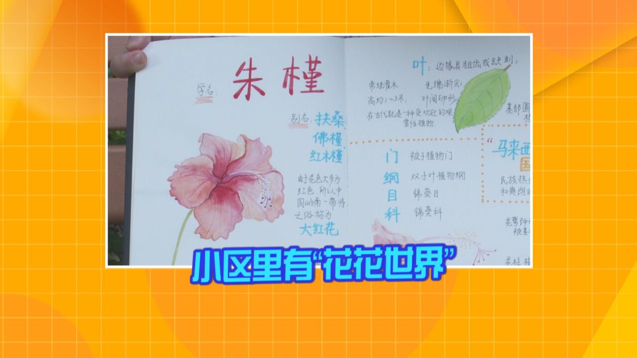 《正午圳能量》:小区里有“花花世界” 居民手绘“百花集”