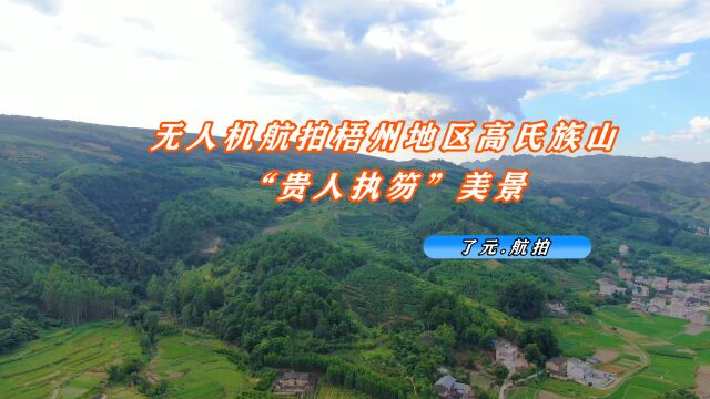 无人机航拍梧州地区高氏族山“贵人执笏”美景