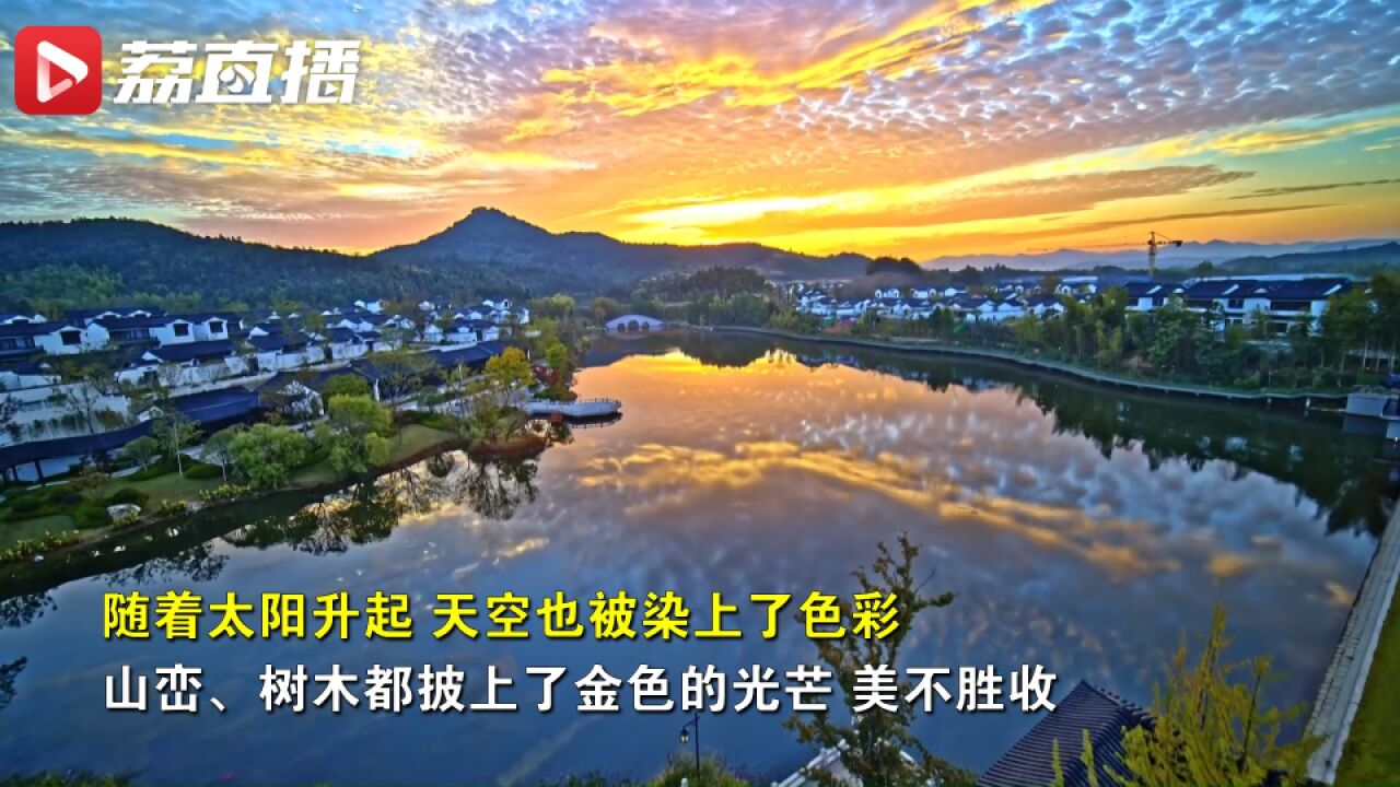 晨雾*阳光!丁达尔效应下的常州乡野美不胜收