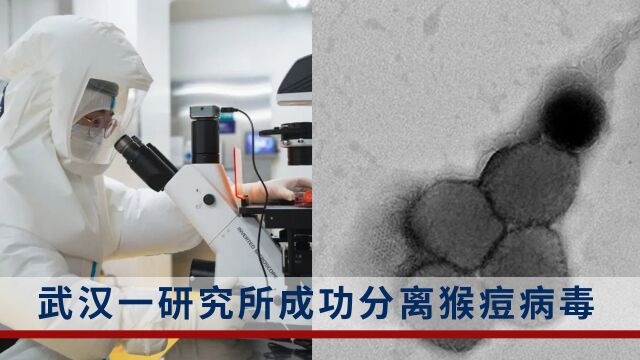 国药集团中国生物武汉生物制品研究所成功分离猴痘病毒