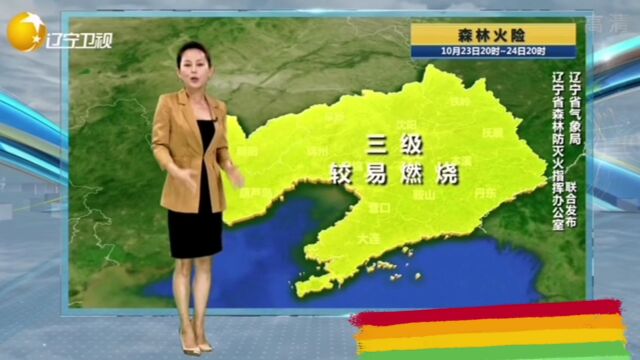 全省天气预报!