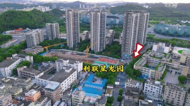 龙岗陂头背建新村旧改项目进度