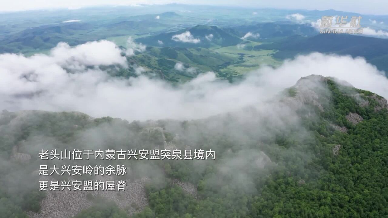 千城胜景|云海群峰相依恋