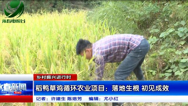 【乡村振兴进行时】稻鸭草鸡循环农业项目:落地生根 初见成效