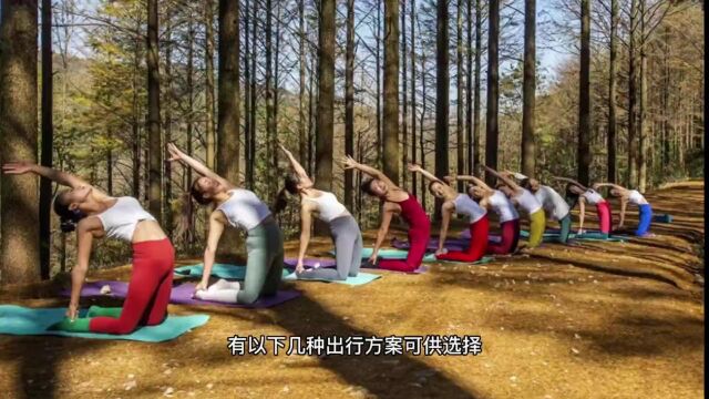 宁波最美金光大道,美得可以封神,请抵制汽车糟蹋风景