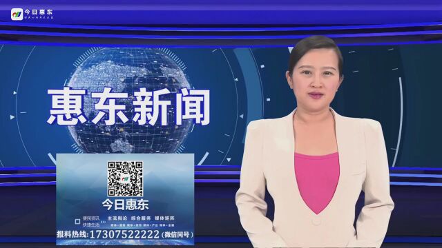 惠东:全力打造惠州湾“海洋客厅” 助力惠东重返一流行列