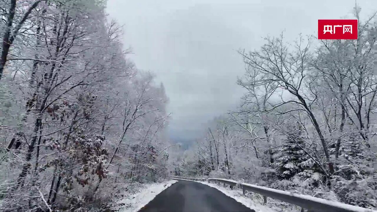 一秒入画!初雪遇雾凇,好一派雪国风光