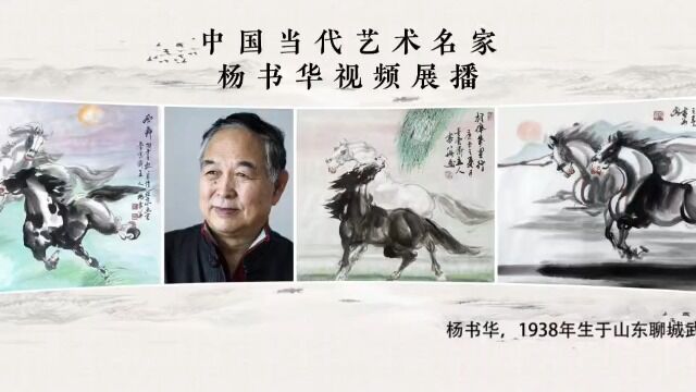 中国当代艺术家—杨书华视频展播