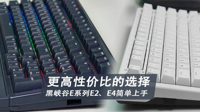 更高性价比的选择,黑峡谷E系列E2、E4简单上手