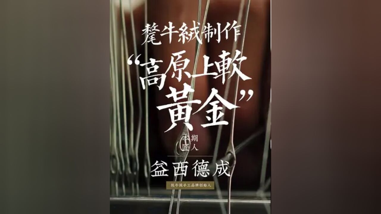 益西德成,一位中美混血的年轻女孩,从22岁初入藏区到现在36岁,花了10多年的时间