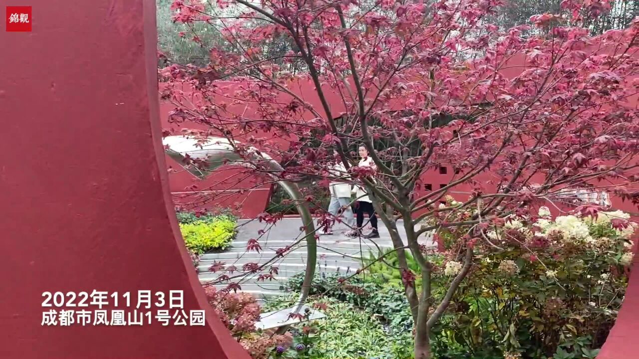 成都花展开幕在即,提前探营先睹为快