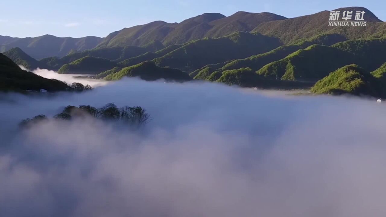 湿地之美丨湖北大九湖湿地