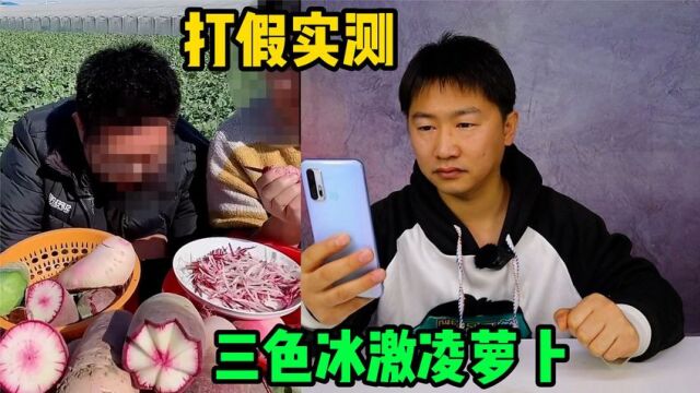 打假山东潍坊三色冰激凌萝卜,号称萝卜界的天花板,真的好吃吗?