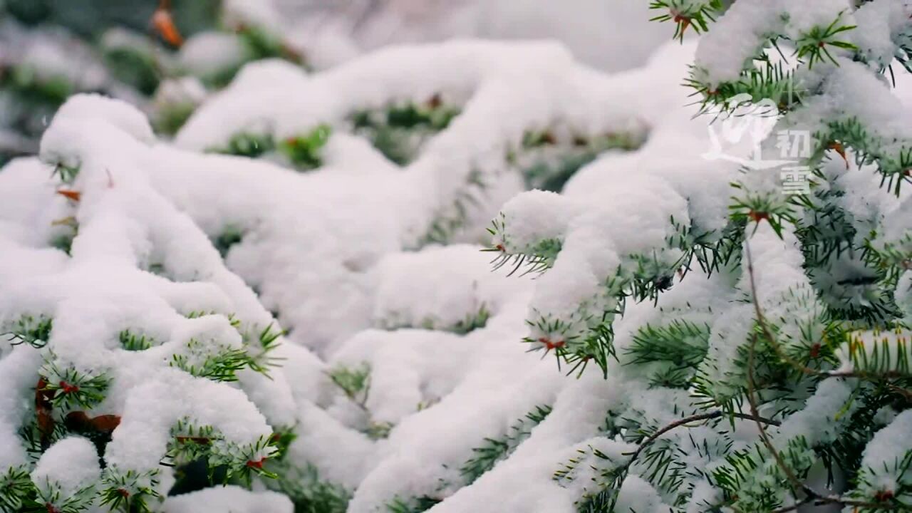 创意短视频丨长春初雪,城市一秒换装!