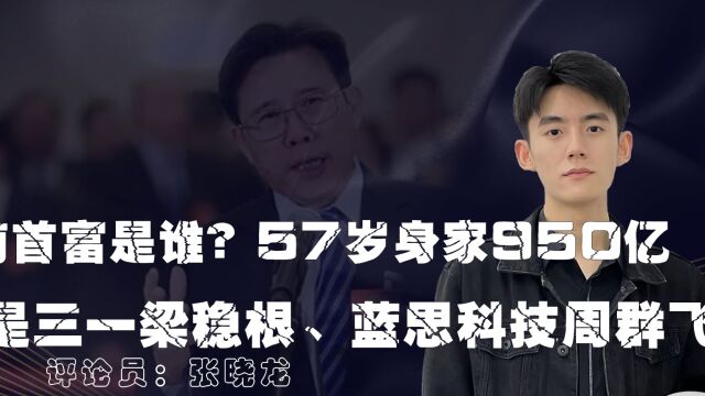 湖南首富是谁?57岁身家950亿,不是三一梁稳根、蓝思科技周群飞