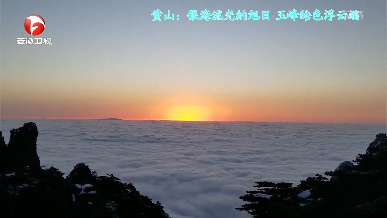 黄山:银海流光纳旭日,玉峰皓色浮云端