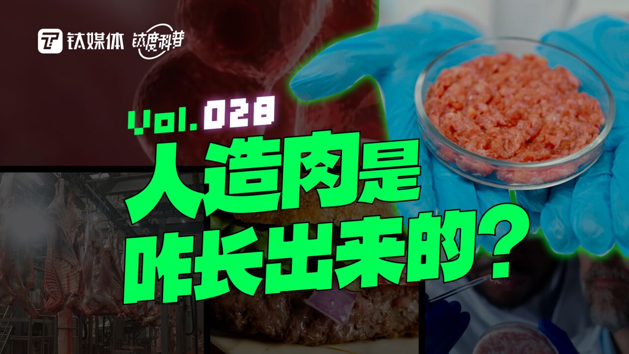 细胞培养肉到底是什么?|钛度科普