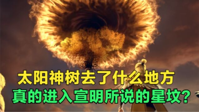 完美世界:太阳神树去了什么地方,真的进入宣明口中的星坟了?