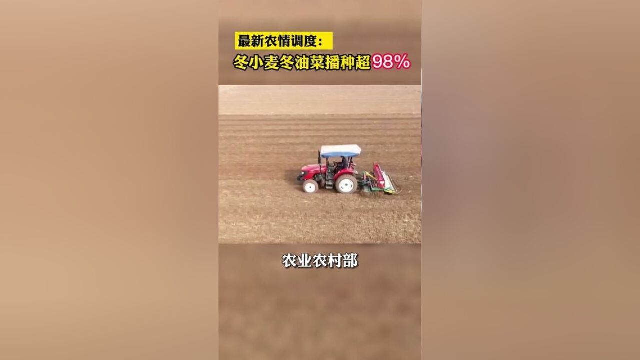 最新农情调度:冬小麦冬油菜播种超98%