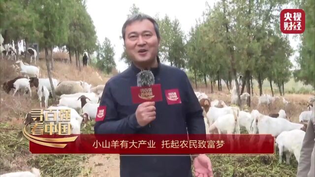 萧县上央视了,《寻百强 看中国》走进萧县