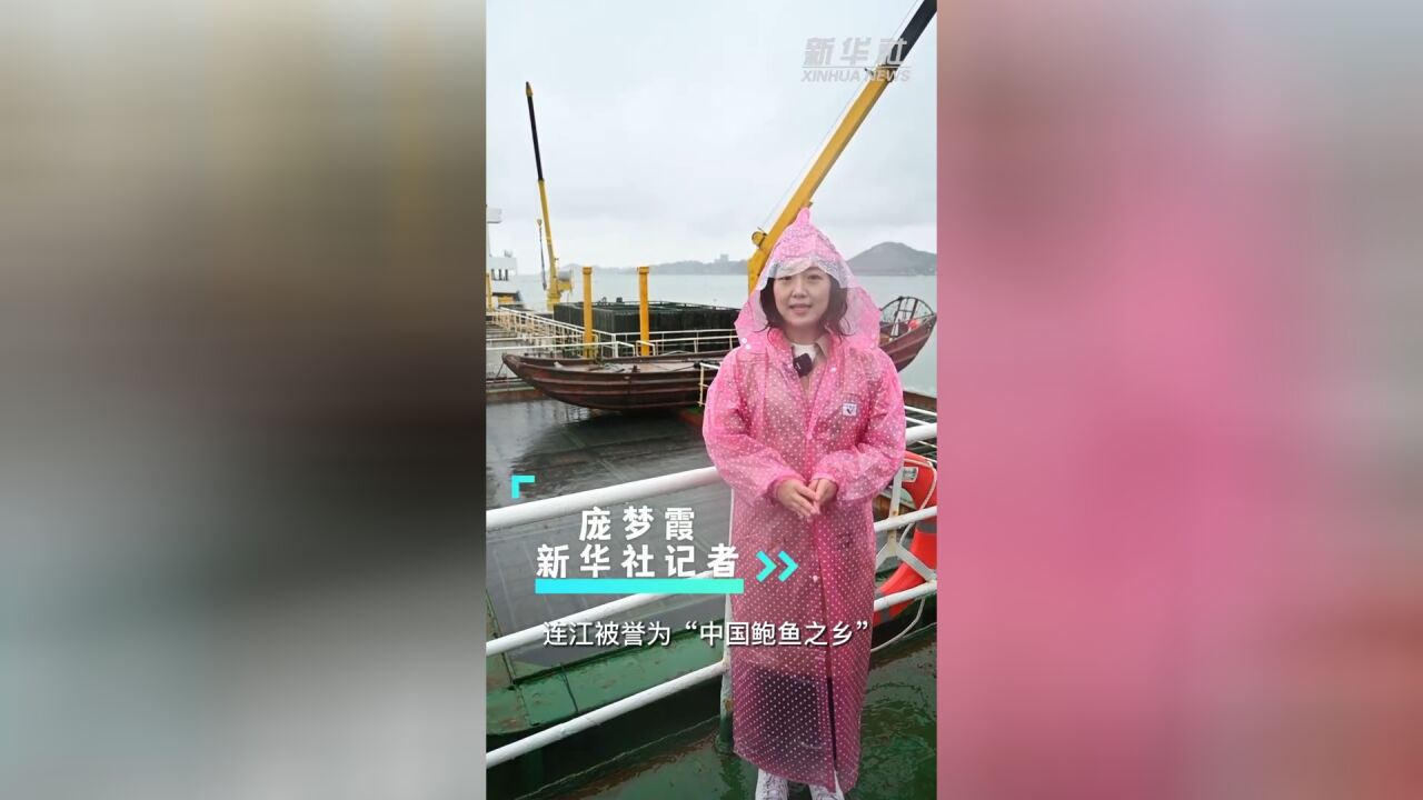 问记者丨北上避暑南下越冬,鲍鱼为何要“旅行”?