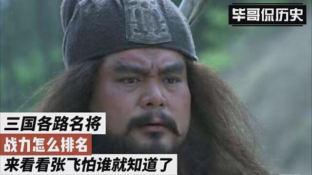 三国各路名将,战力怎么排名,来看看张飞怕谁就知道了#历史 #三国 #涨知识