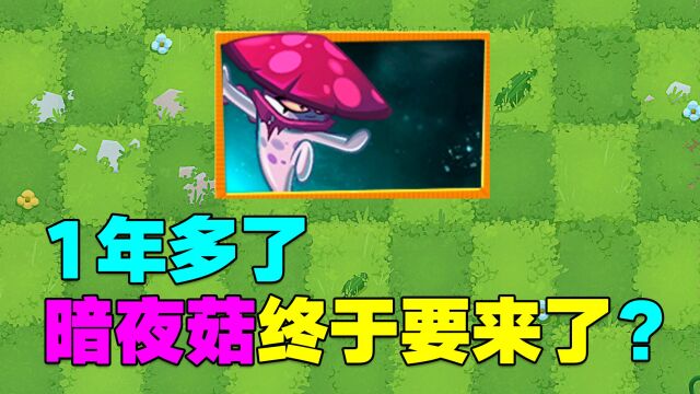 PVZ资讯:1年多了,暗夜菇终于要来了?