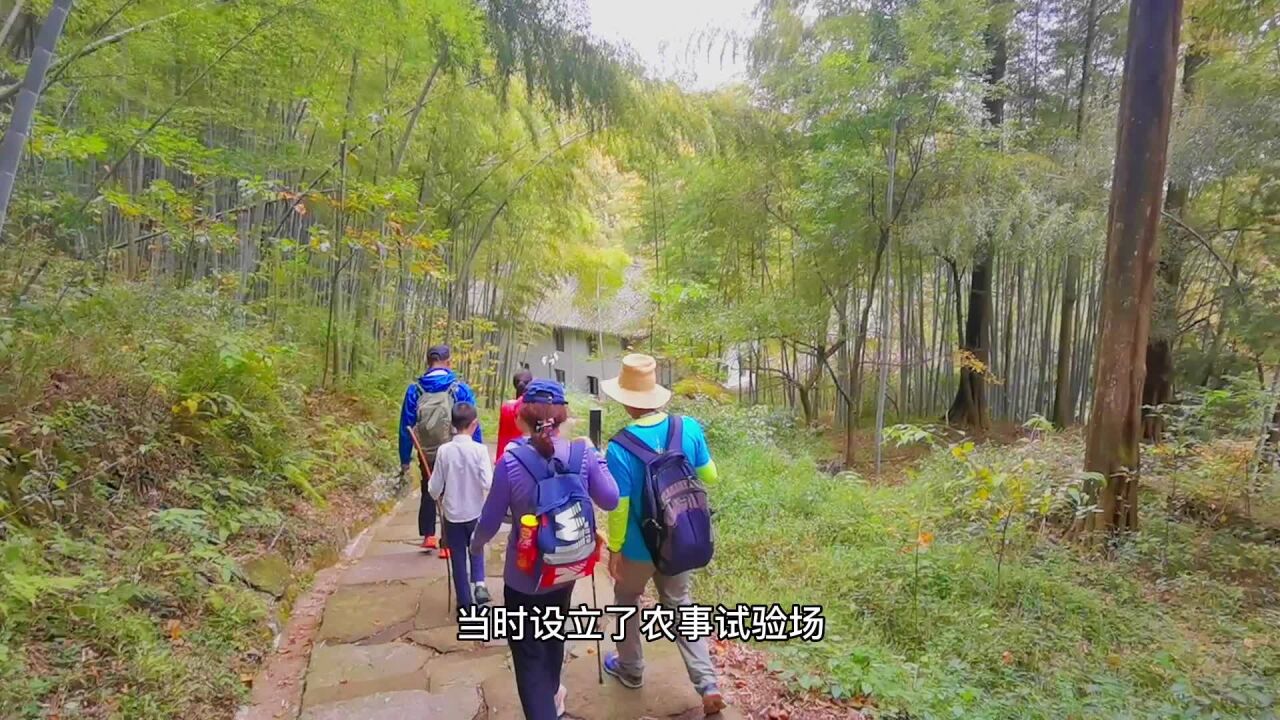 岗上风云和雪,别墅和学校