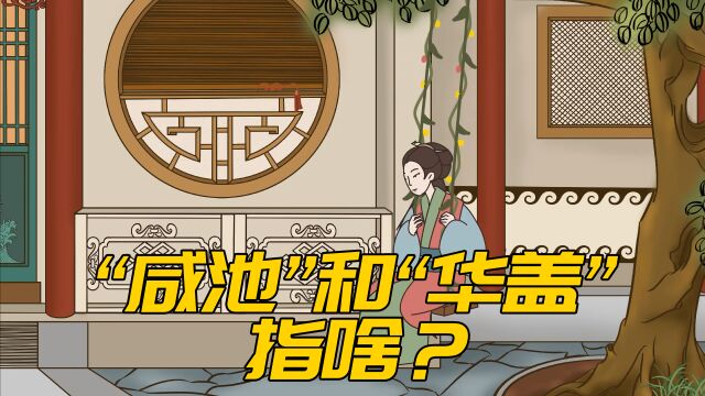 “女带咸池,门外养汉;男带华盖,富贵不愁”何意?有何门道