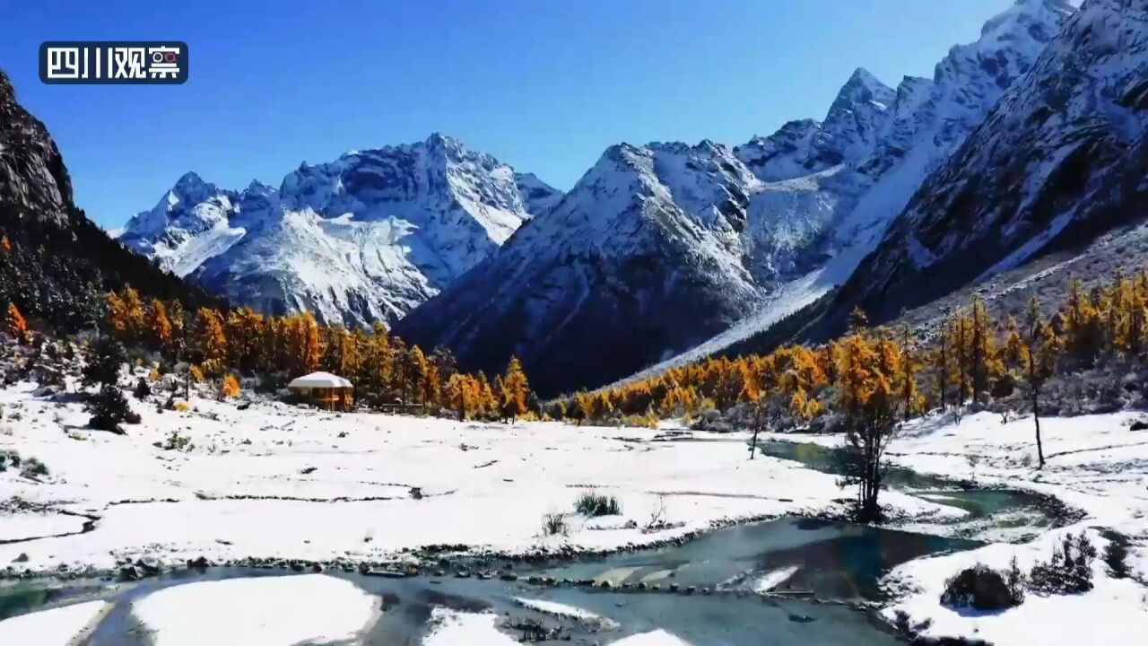 雪景+彩林 毕棚沟的双色模式美不胜收