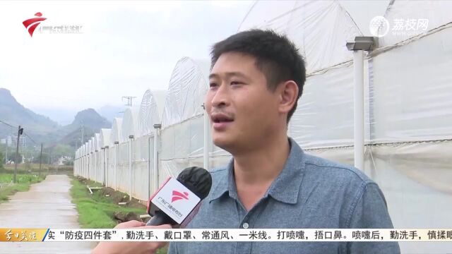 清远阳山:午后气温急降 农业部门部署防寒防冻工作