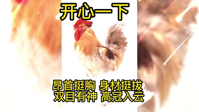 民间故事开心一下