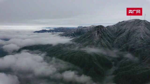 江西上犹:高海拔山地出现雾凇美景