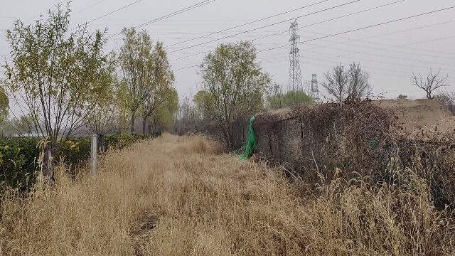 城市探寻北京朝阳区东南荒野风光