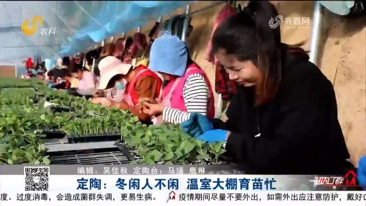 一派繁忙景象!定陶育苗基地积极培育蔬菜瓜果秧苗,助力农民增收