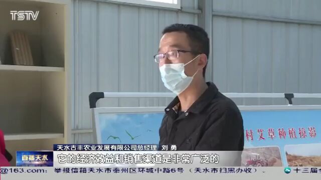 天水:立足地域资源优势 大力发展中药材产业