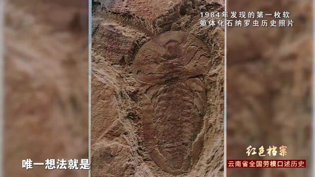 澄江化石群发现者侯先光:揭开5.18亿年前寒武纪生命大爆发面纱