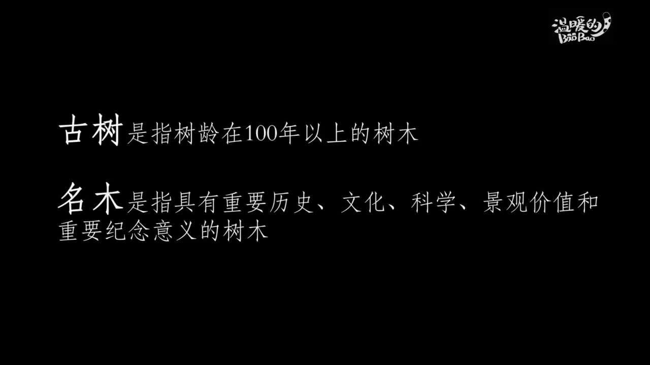 收到总书记回信的黄山守松人胡晓春,有着怎样的故事?