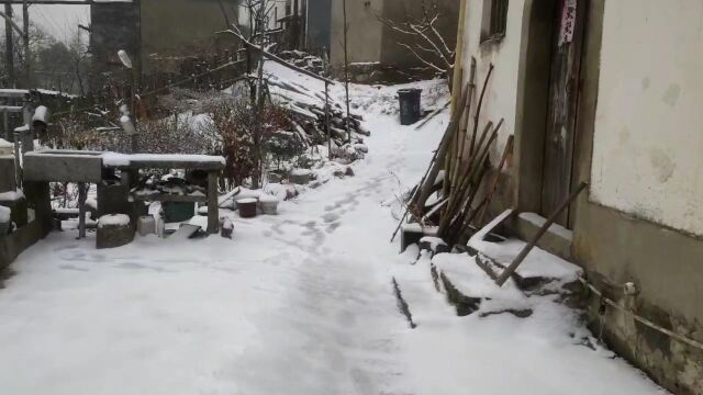 歙县许村箬岭茶坦今天下雪了