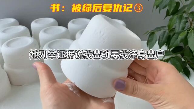 小说推荐:被绿后复仇记③