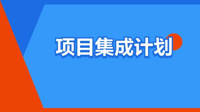 “项目集成计划”是什么意思?