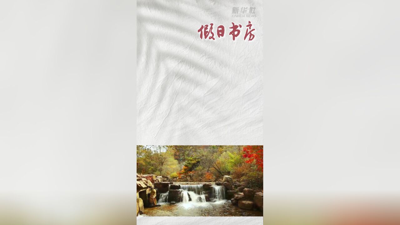 假日书房|冰心:盼着时间赶快飞跑