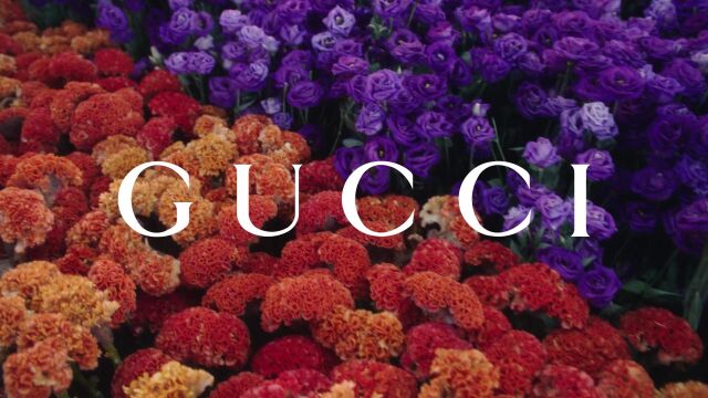 Gucci Celebrates the Year of the Rabbit1080p