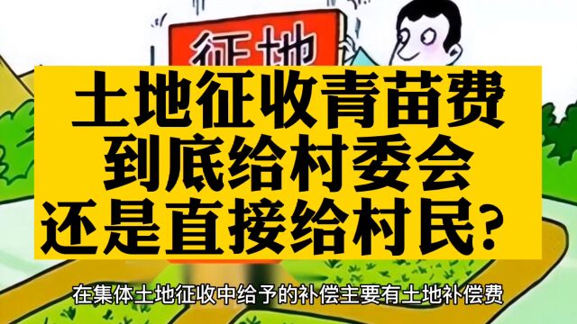 土地征收涉及的青苗费,是给村委会还是村民?