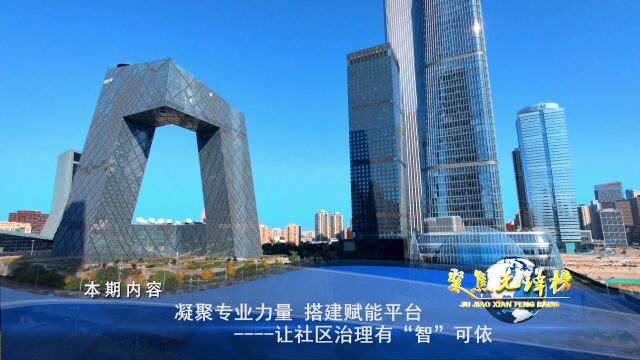 导视:凝聚专业力量 搭建赋能平台让社区治理有“智”可依