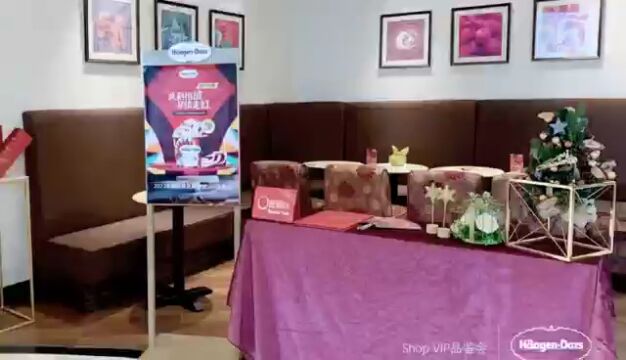 哈根达斯VIP品鉴会华东