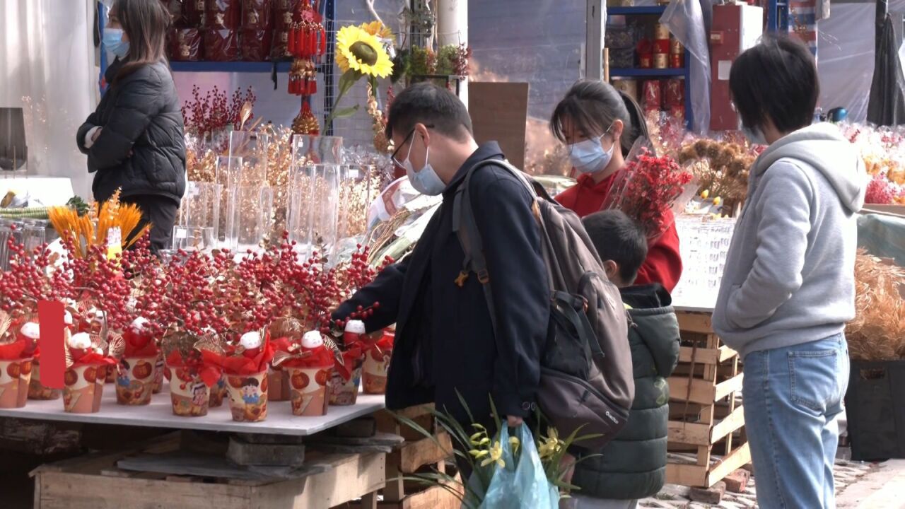 广州荔湾各类特色迎春花市焕新登场,新春活动等你来打卡