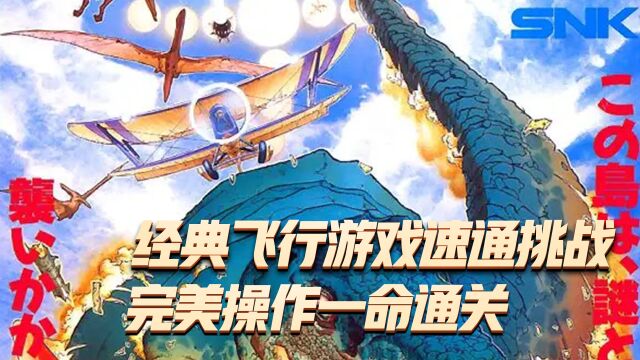 原始岛2代:经典飞行游戏速通挑战,完美操作一命通关