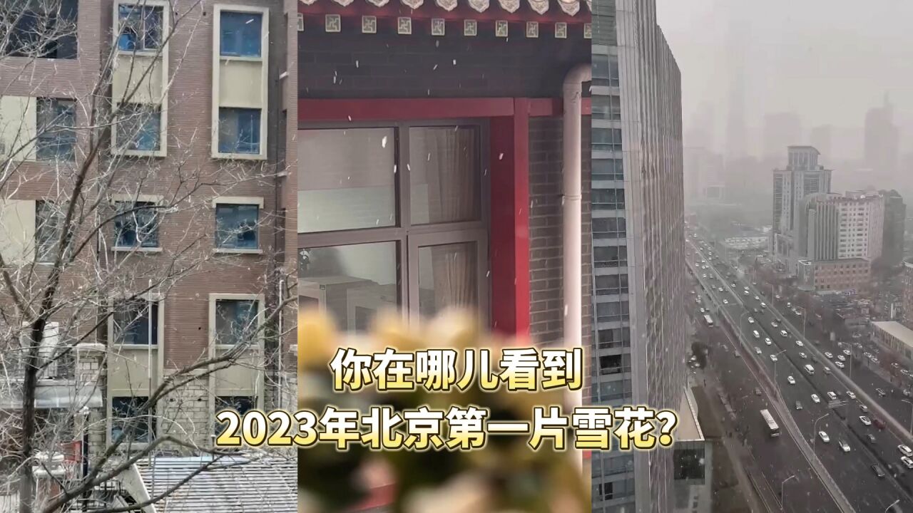 视频|你在哪儿看到2023年北京第一片雪花?