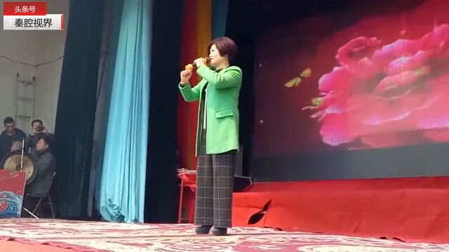 秦腔《朱春登哭坟》选段,名家商芳会精彩演唱